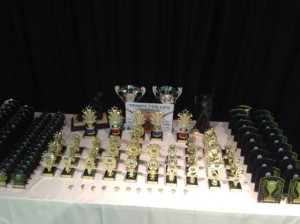 Winner and awards